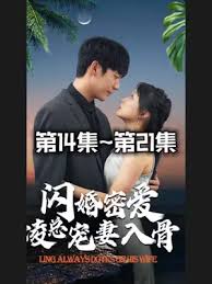 家师傅一体影视海报