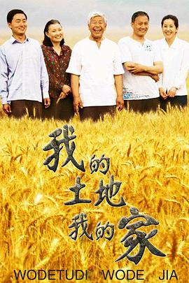 天和局影视海报